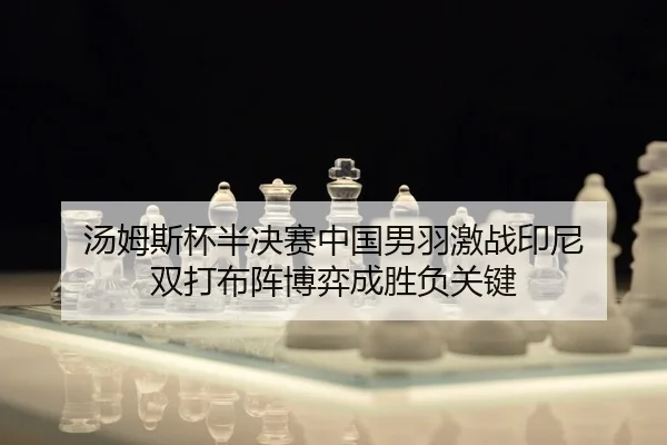 tang-mu-si-bei-ban-jue-sai-zhong-guo-nan-yu-ji-zhan-yin-ni-shuang-da-bu-zhen-bo-yi-cheng-sheng-fu-guan-jian-2-270.jpg